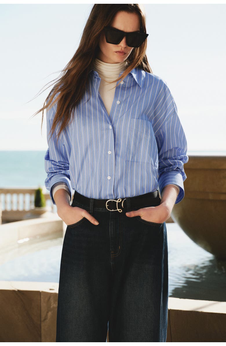 H&M Oversized Poplin Shirt, Alternate, color, Blue/Striped