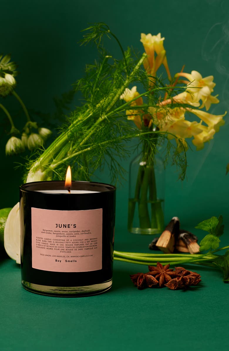 Boy Smells June's Scented Candle, Alternate, color, 