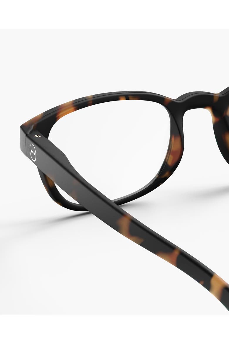 #B Tortoise, Alternate, color, Tortoise