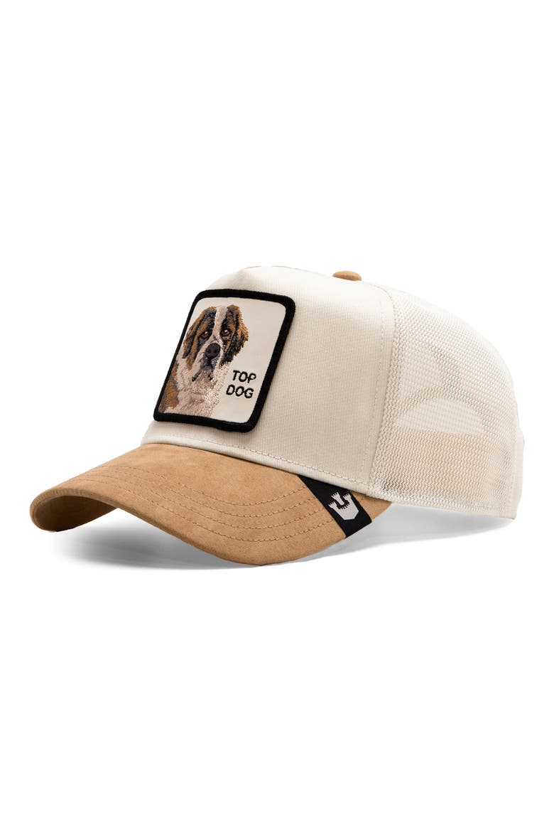 The Suede St. Bernard Patch Snapback Trucker Hat, Main, color, TAN