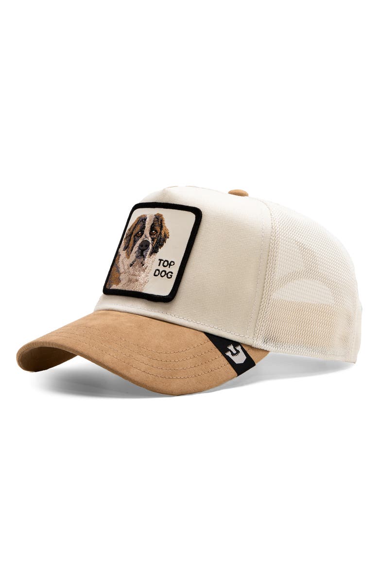 Goorin Bros. The Suede St. Bernard Patch Snapback Trucker Hat, Main, color, 
