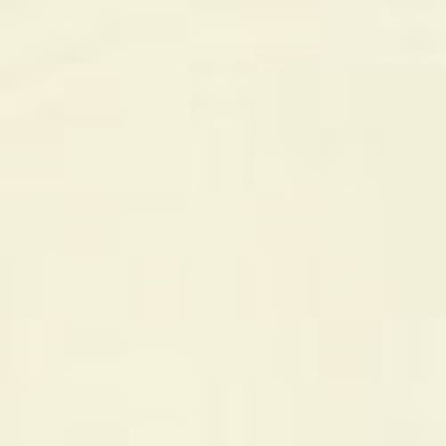 Malibu Sugar Solid Bra Cami In Animal Print