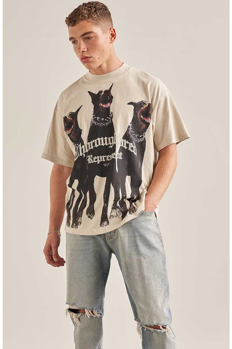 Thoroughbred Oversize Cotton Graphic T-Shirt, Alternate, color, VINTAGE WHITE