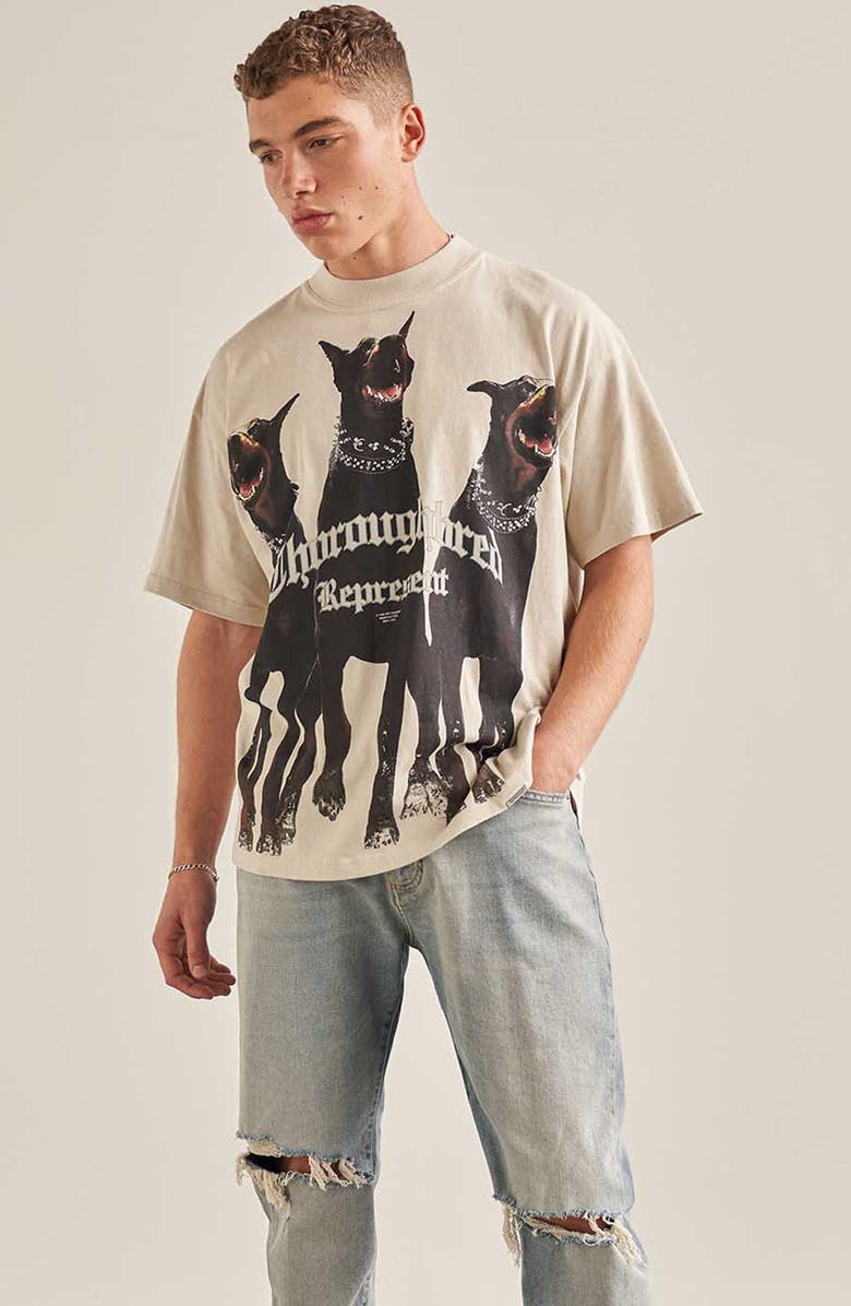 Represent Thoroughbred Oversize Cotton Graphic T-Shirt, Alternate, color, Vintage White