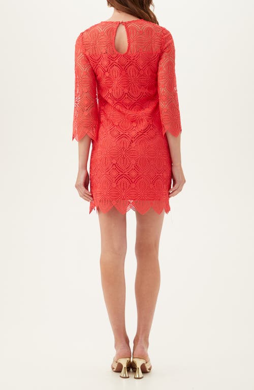 Trina Turk Atlantic Dress In Moroccan Sunset