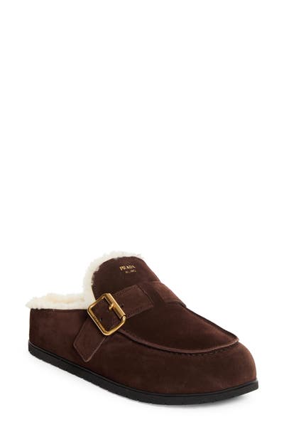style board product image