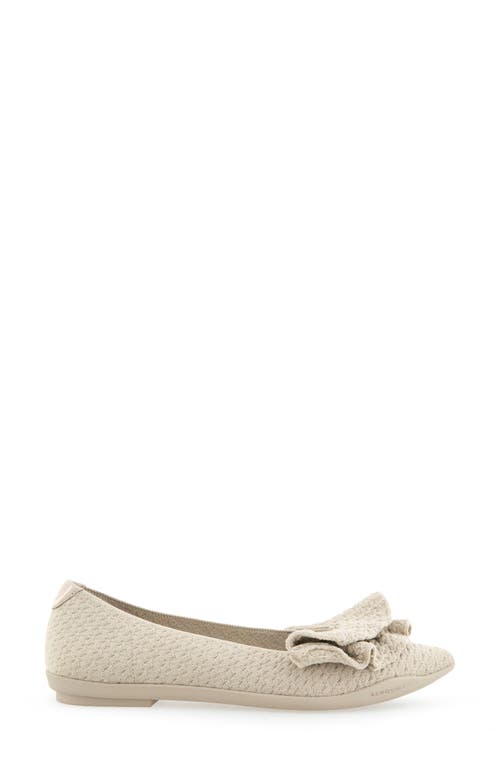 AEROSOLES AEROSOLES DAMIRA POINTED TOE FLAT 