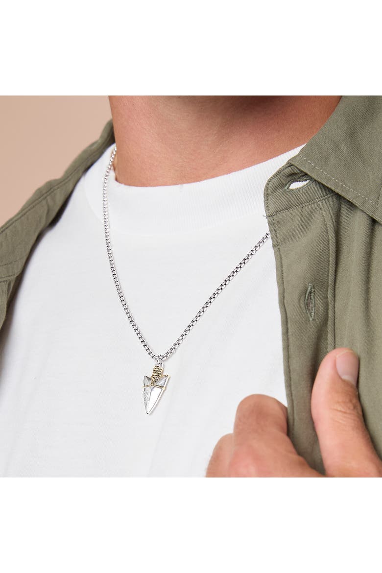Brass Two Tone Arrowhead Necklace, Alternate, color, silver, gold