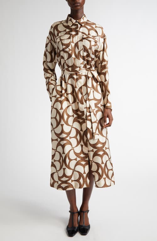 Max Mara Ileana Print Long Sleeve Silk Shirtdress In Ecru
