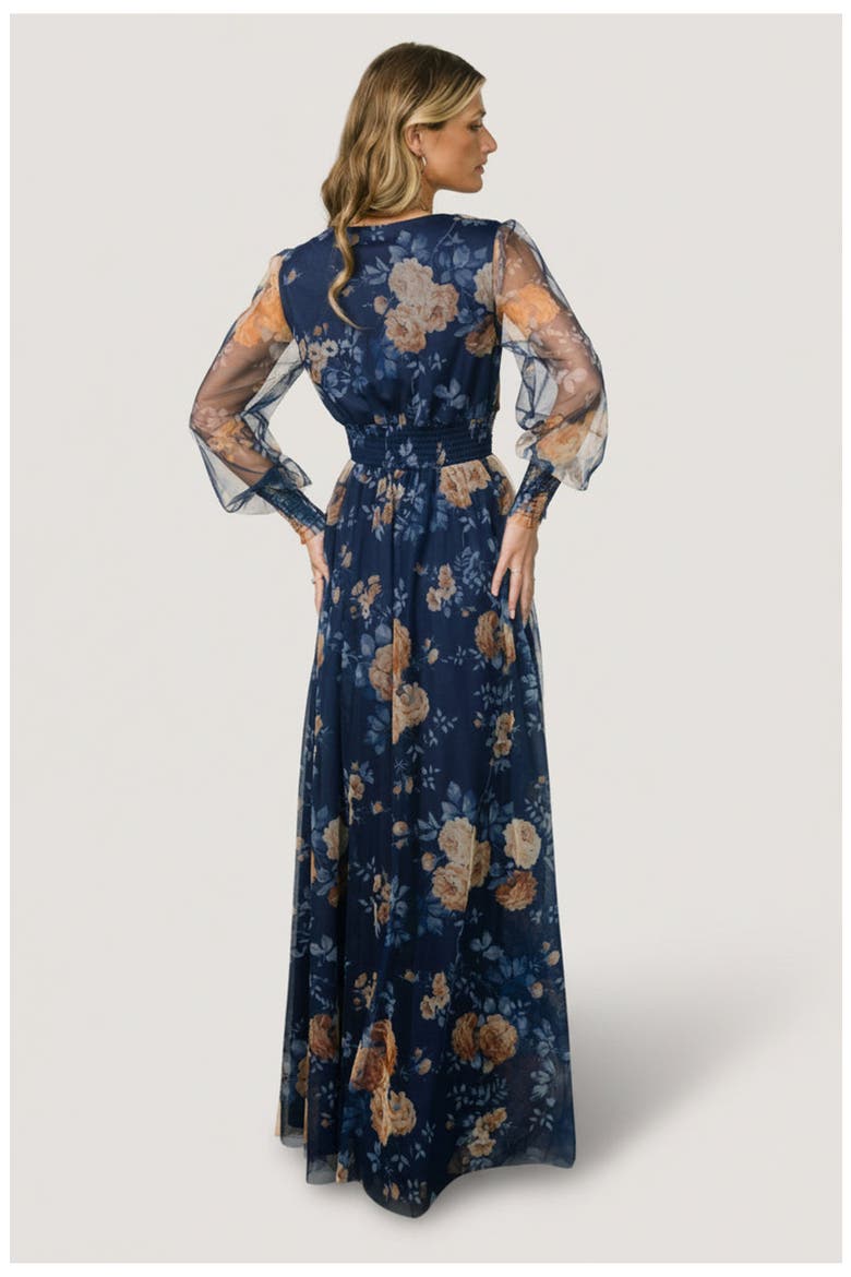 Layla Tulle Maxi Dress, Alternate, color, Blue and Golden Floral
