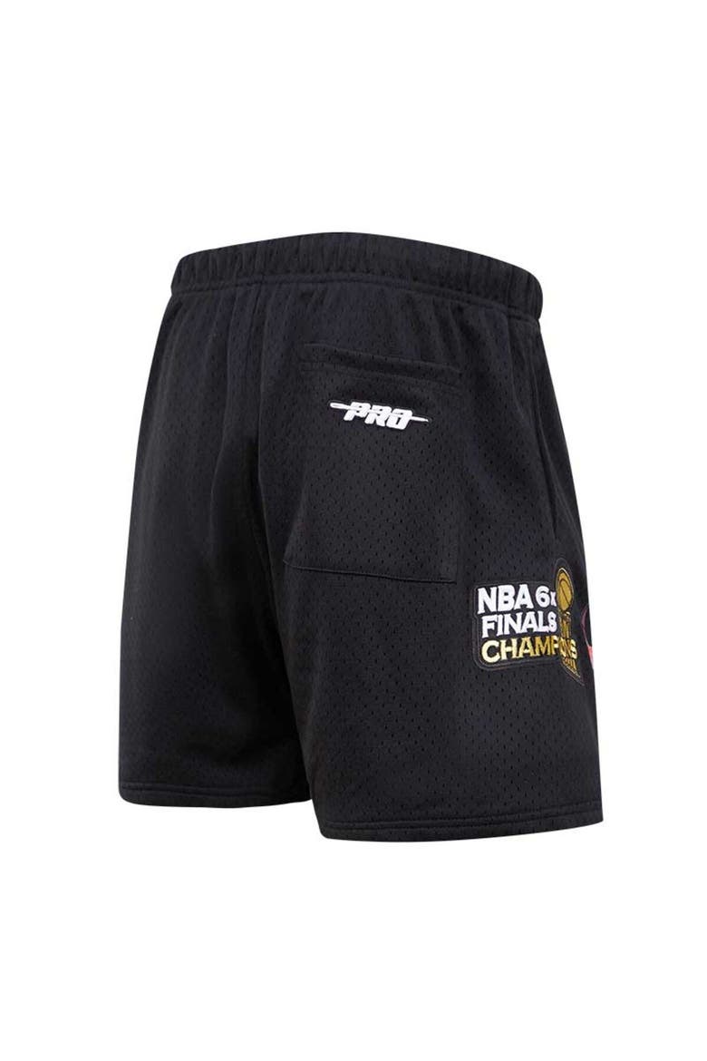 Men's Pro Standard Black Chicago Bulls City Scape Mesh Shorts, Alternate, color, Black