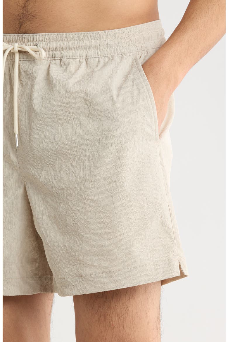 5-Inch Volley Swim Shorts, Alternate, color, BEIGE BIRCH