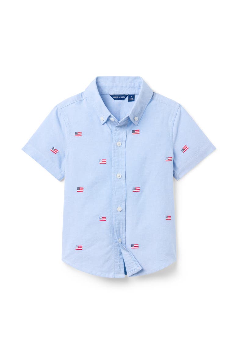 Embroidered Flag Shirt, Main, color, Blue