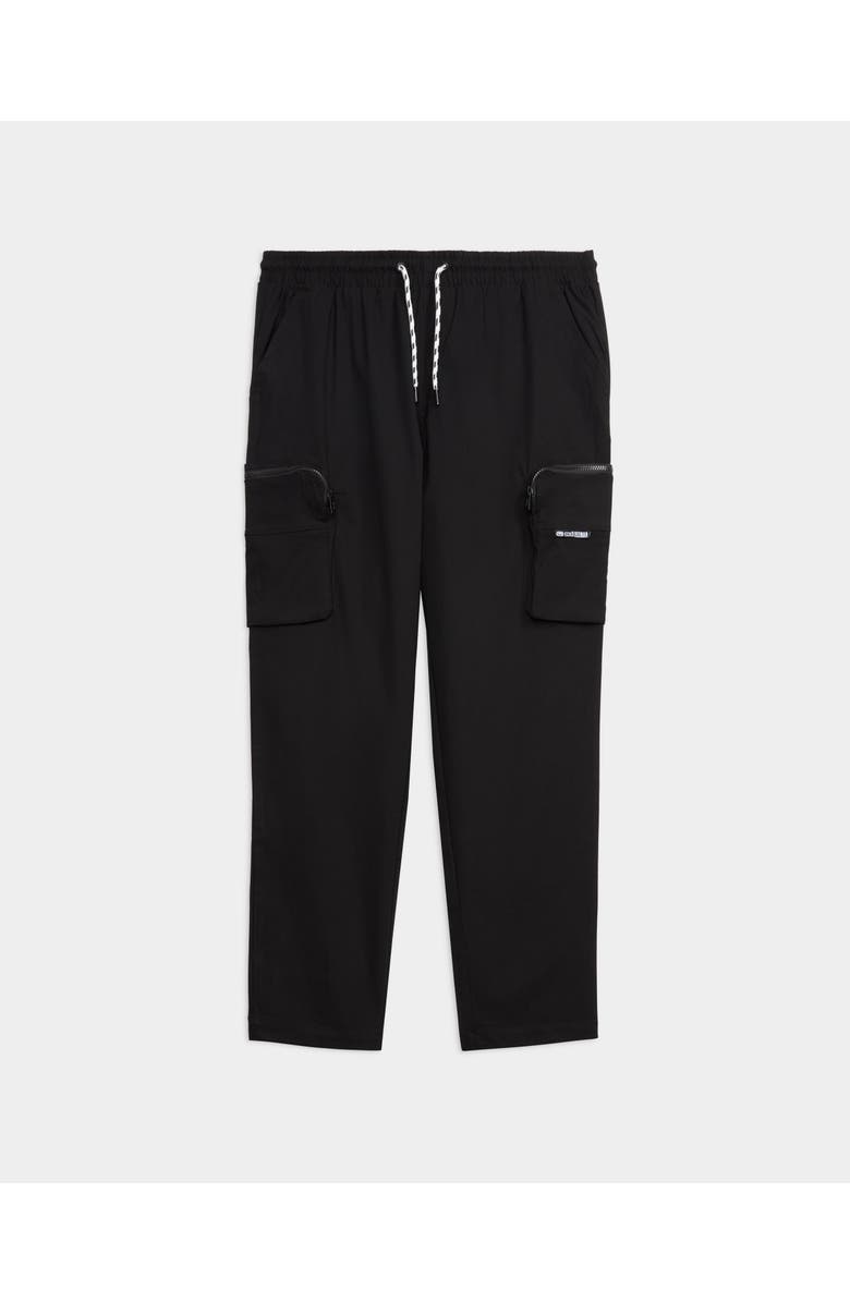 ECKO Cornerstone Cargo Pant, Main, color, Black