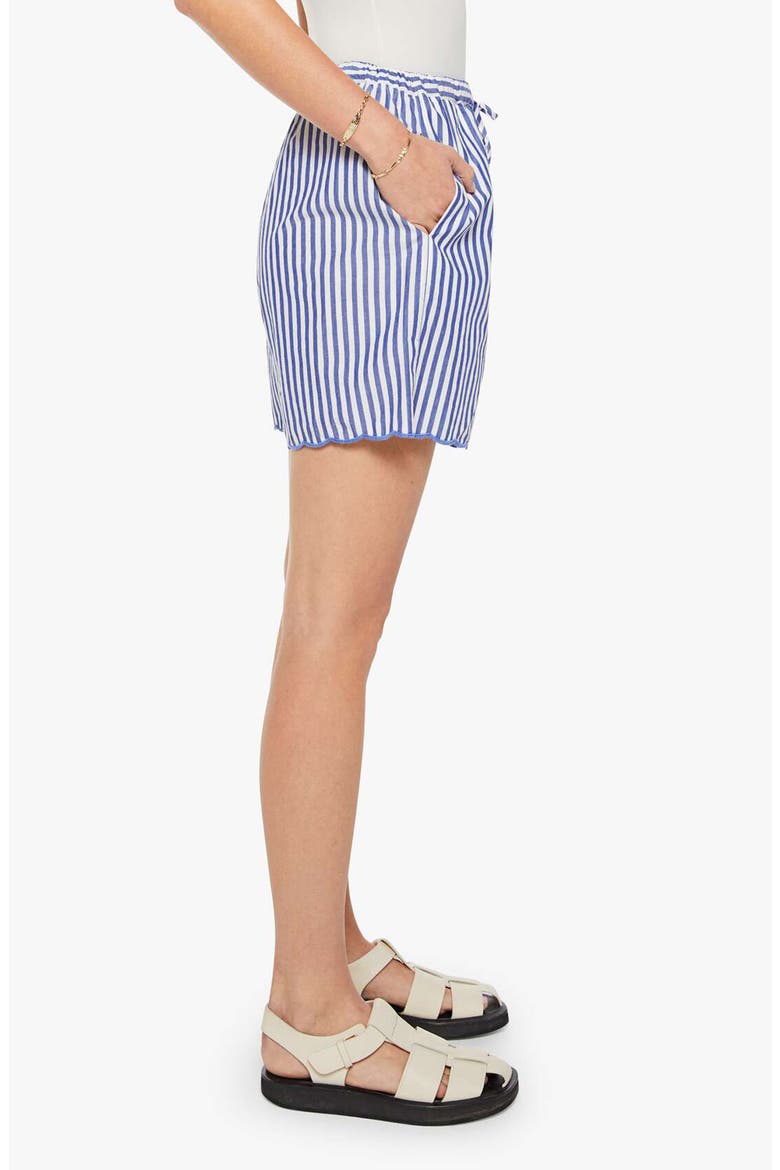 The Drawn Freeballer Stripe Cotton Shorts, Alternate, color, WHITE AND BLUE STRIPE