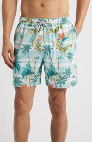Tommy Bahama Naples Palmero Stripe Swim Trunks