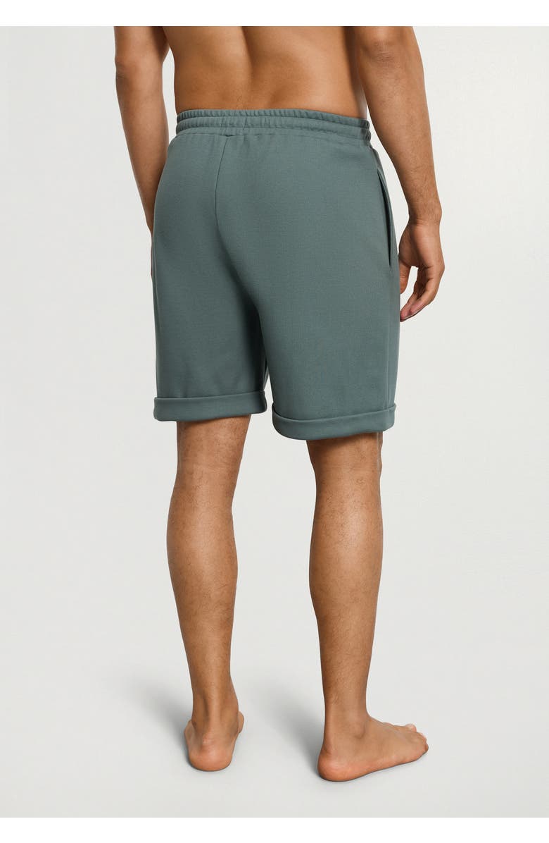 Hanro Travelwear Cotton Shorts, Alternate, color, Studio Green