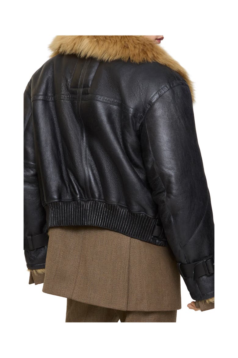 Cropped Shearling Aviator Jacket, Alternate, color, Black