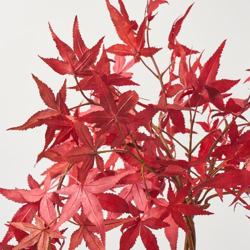 Darby Creek Trading Faux Japanese Maple Bonsai Style Topiary Potted Tree In Red