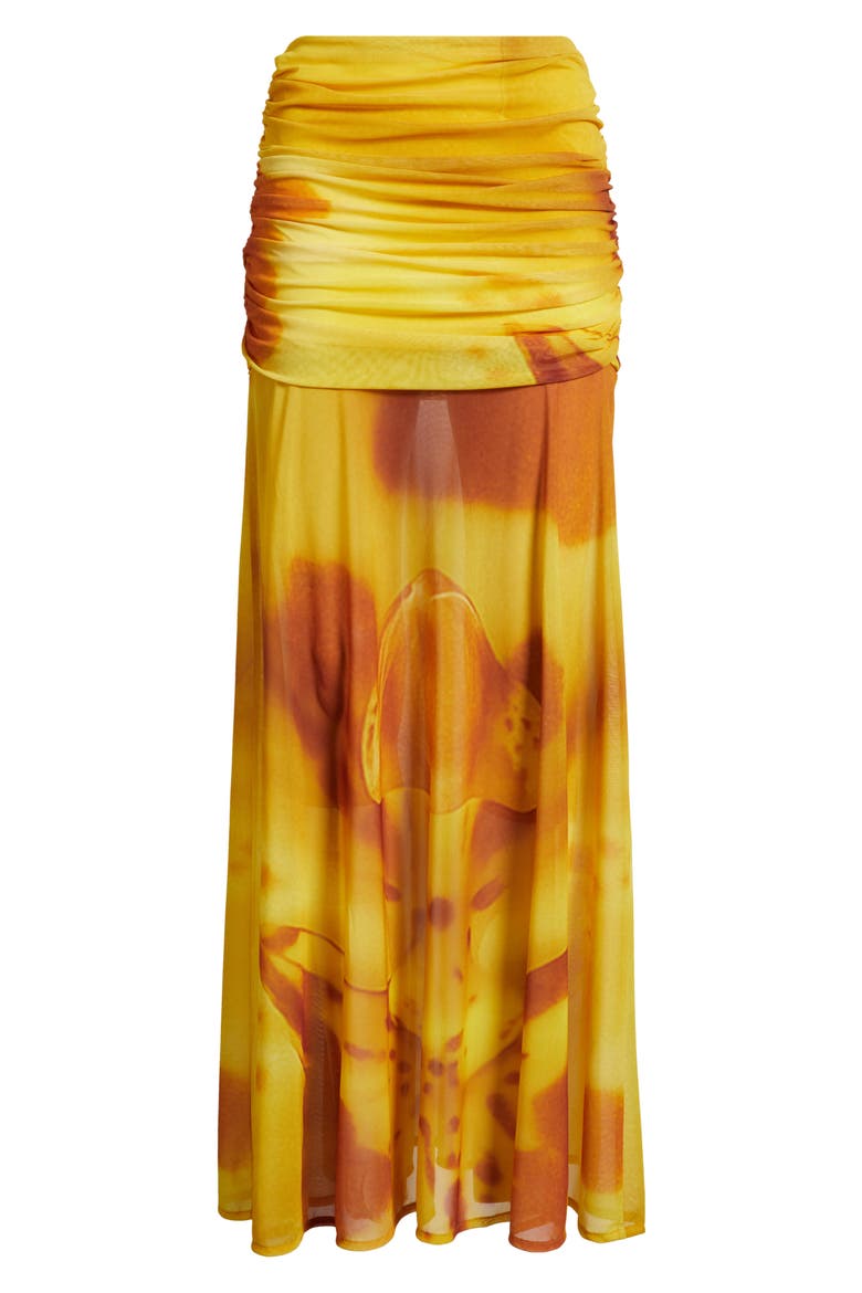 Susurro Print Semi Sheer Maxi Skirt, Alternate, color, SOLEIL