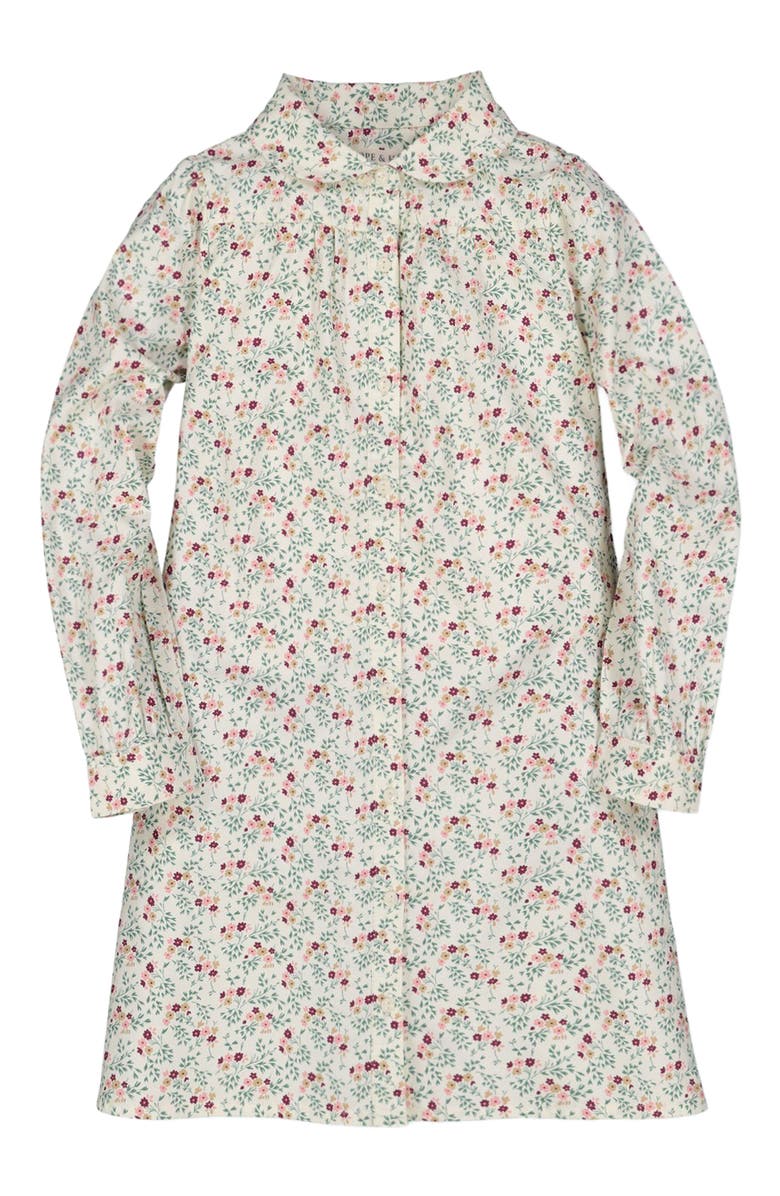 Hope & Henry Baby Girls' Peter Pan Collar Shirtdress, Infant, Main, color, Ivory Meadow Floral