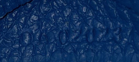 Pre-Owned Goyard Chien Gris Pet Carrier Tote Coated Canvas, Alternate, color, Blue