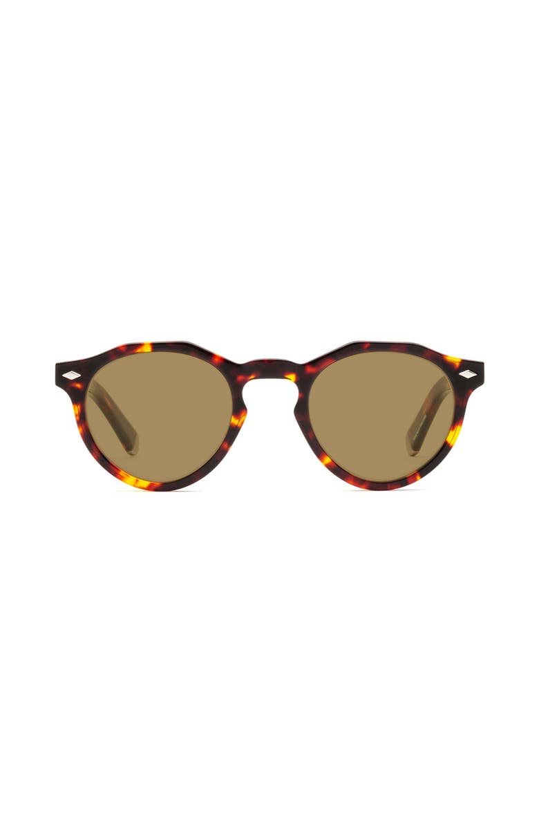 Caddis Dogleg | Polarized Sunglasses, Alternate, color, Turtle - Polarized Bronze