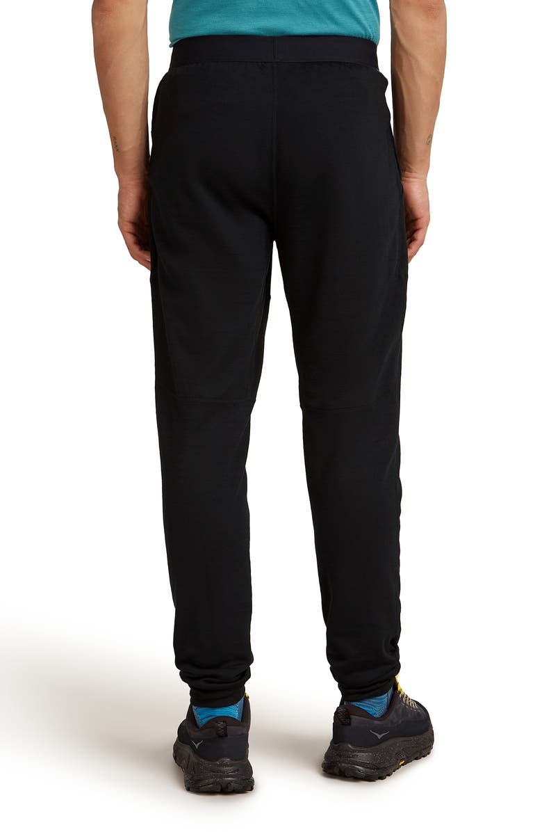Icebreaker 300 Descender Joggers, Alternate, color, Black