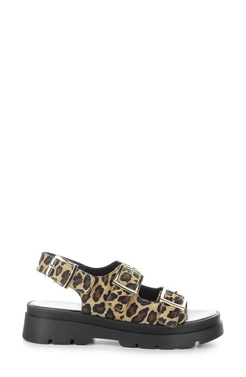 Bos. & Co. Cipher Slingback Platform Sandal In Leopard