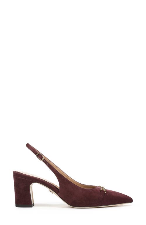 Sam Edelman Waller Pointed Toe Slingback Pump