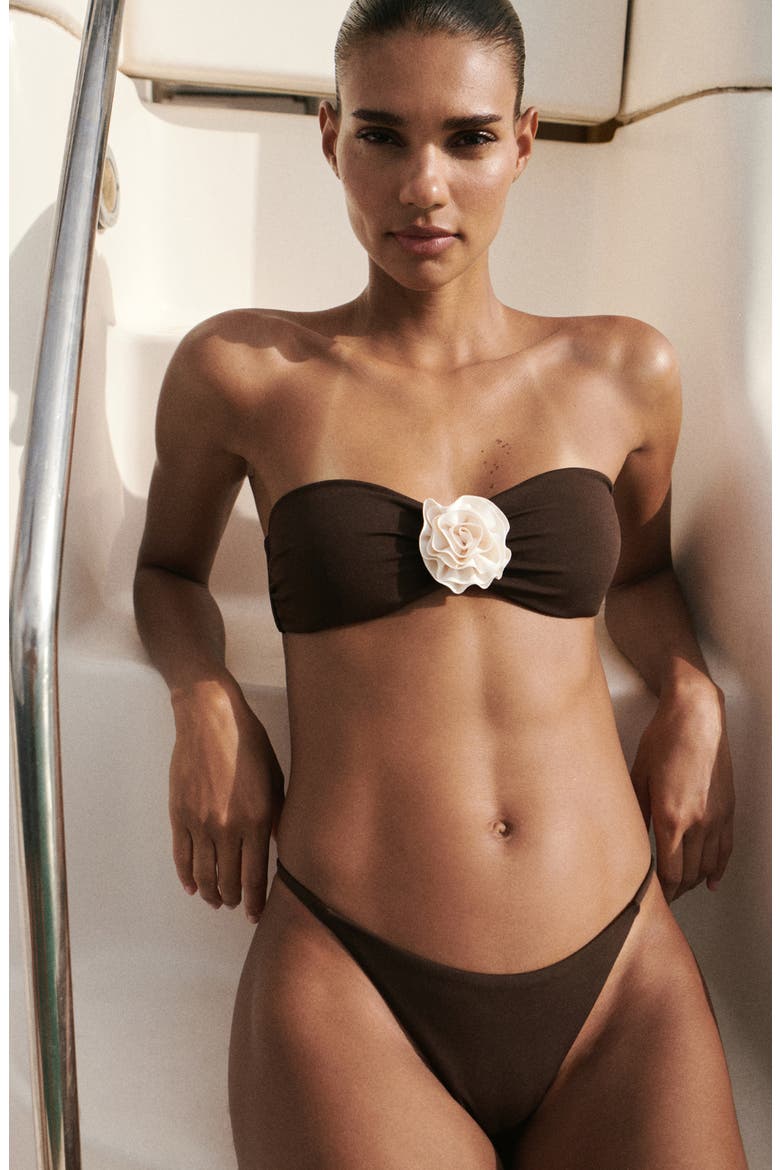 Scoop Front Bikini Bottoms, Alternate, color, BROWN