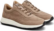 Tod's Elastic Lace Leather Sneaker