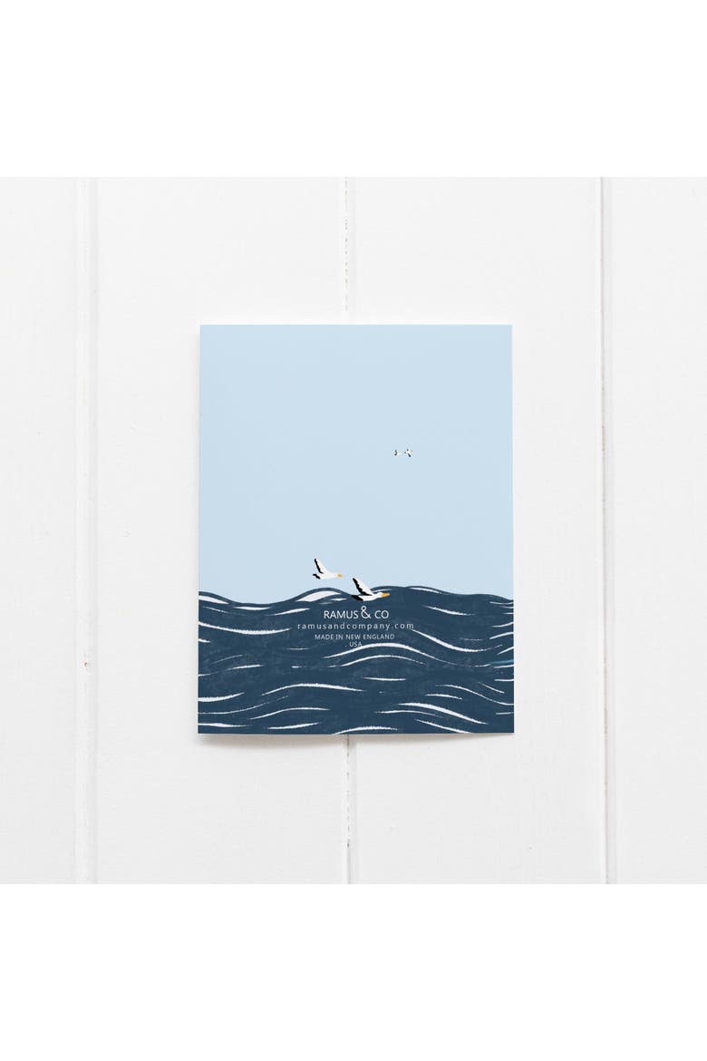 Birthday Greeting Card Singles and Packs, Alternate, color, Multi-Pack