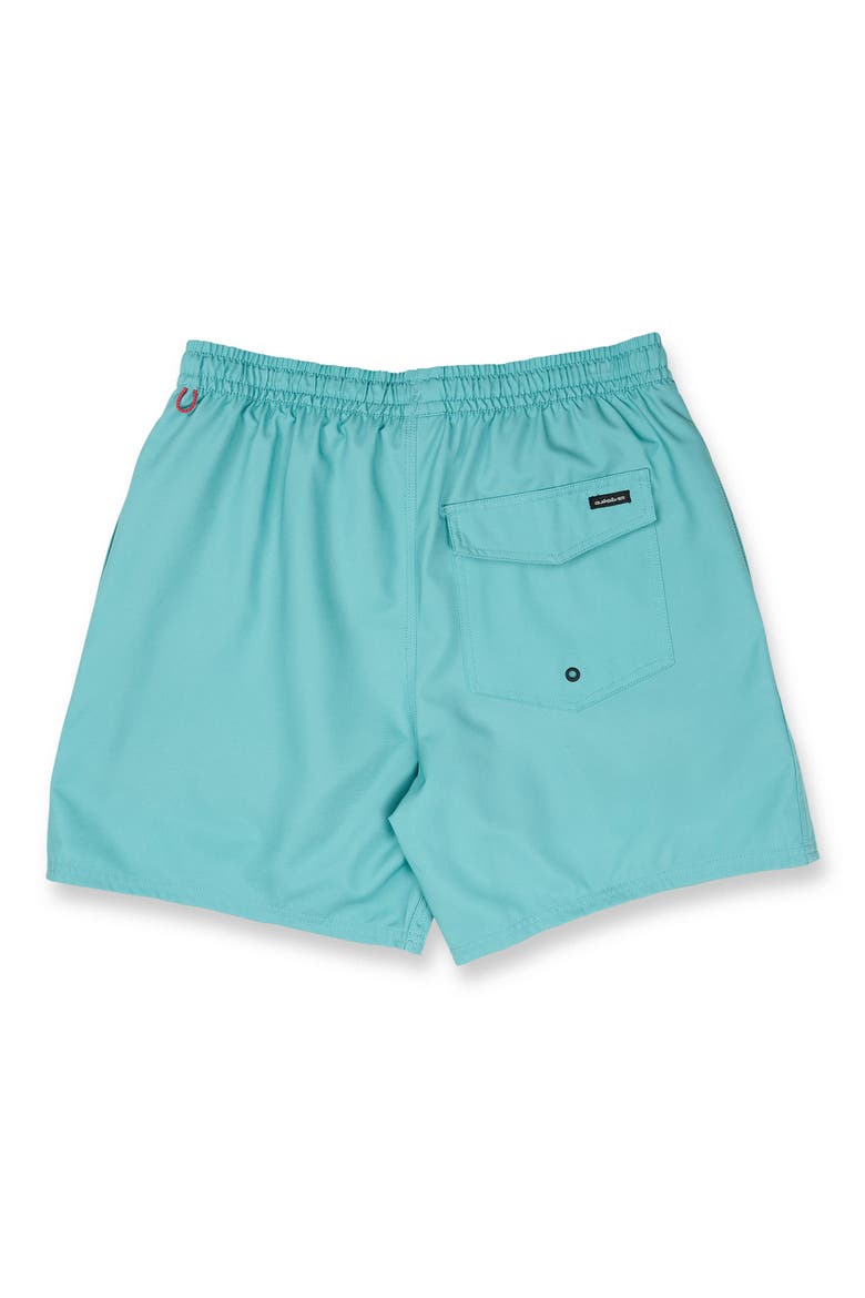 Everyday 17" Solid Stretch Swim Trunks, Alternate, color, AQUA