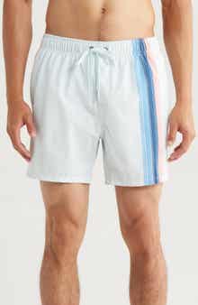 Vintage Summer Poolside Volley Swim Trunks