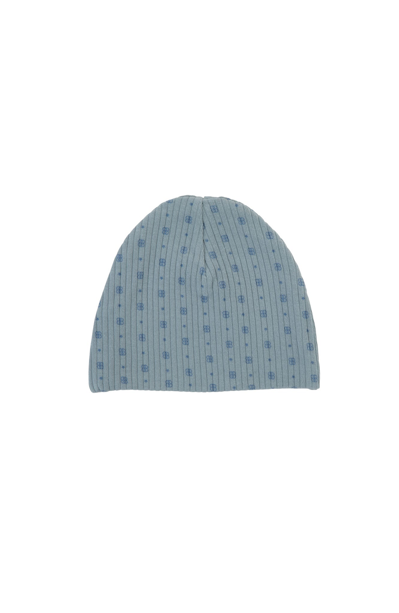 NoggiWear Printed Ribbed Beanie, Main, color, 