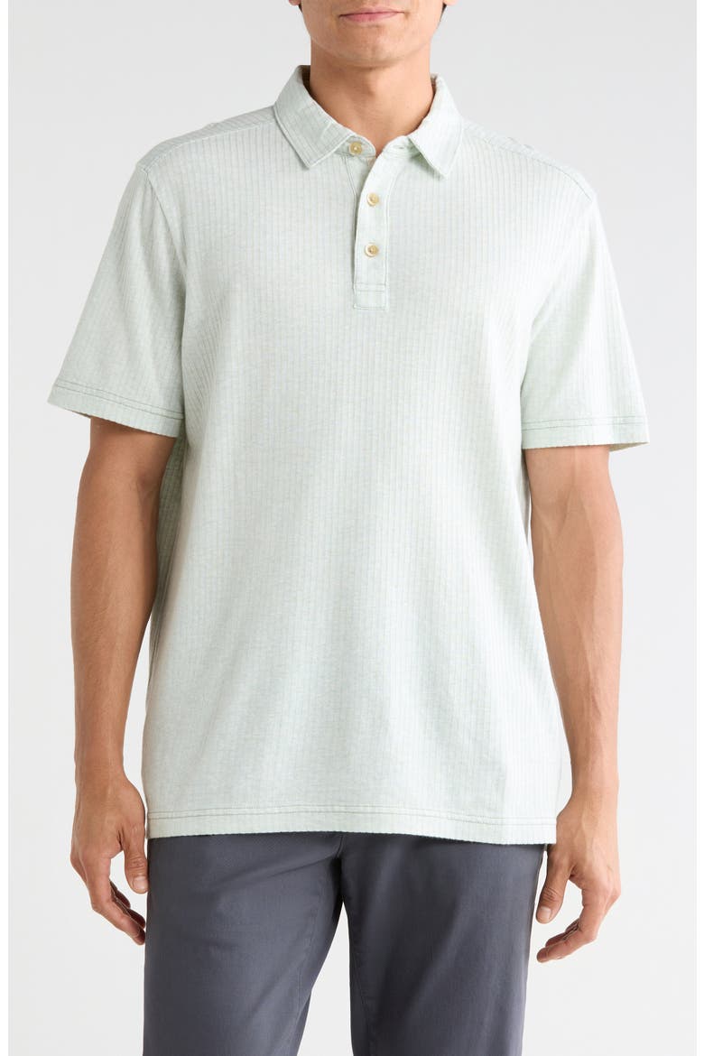 Luzia Beach Stripe Cotton Polo, Main, color, LIGHT ROSEMARY HEATHER