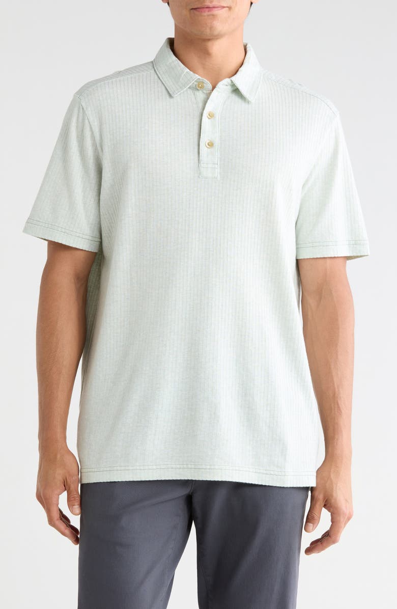 Tommy Bahama Luzia Beach Stripe Cotton Polo, Main, color, Light Rosemary Heather
