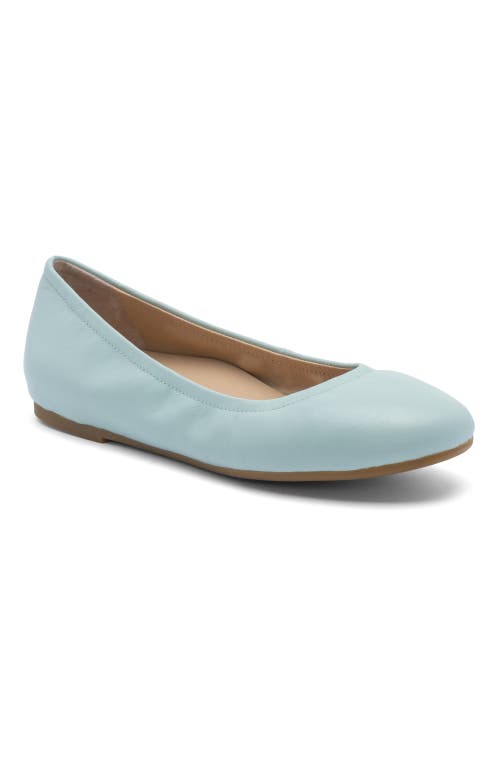 Abeo Promenade Ballet Flat In Mint - Regular