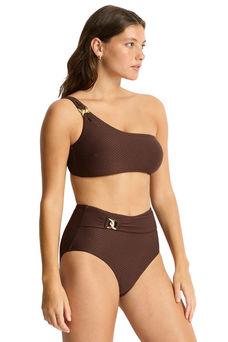 Luminara One-Shoulder Bikini Top, Alternate, color, COCOA
