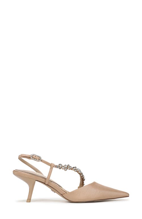 Sam Edelman Bonnie Slingback Pointed Toe Pump In Sand
