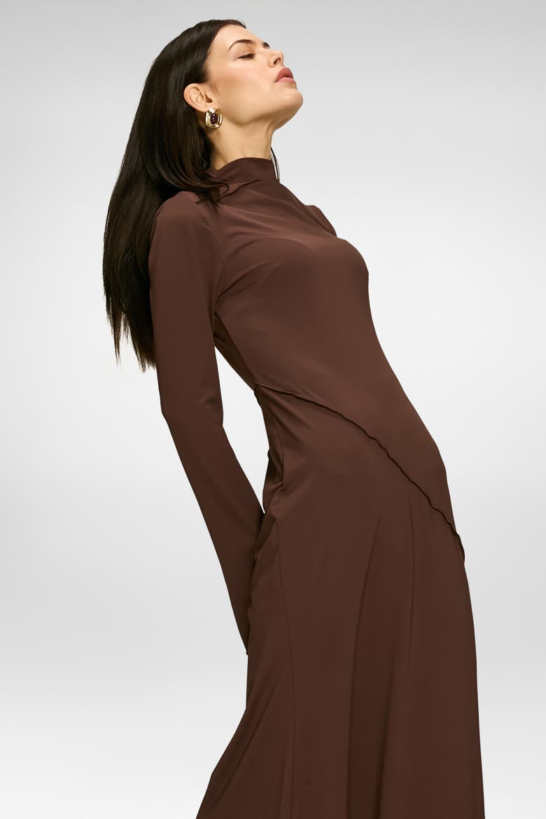 Laiba Dress, Alternate, color, Brown