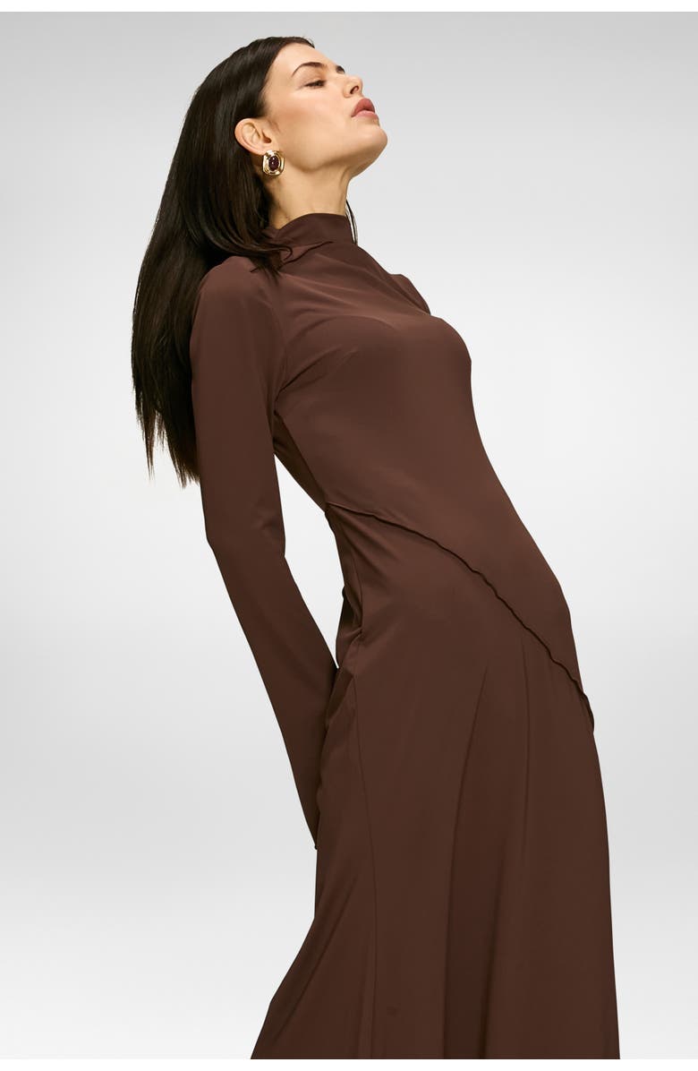 Daska Laiba Dress, Alternate, color, Brown