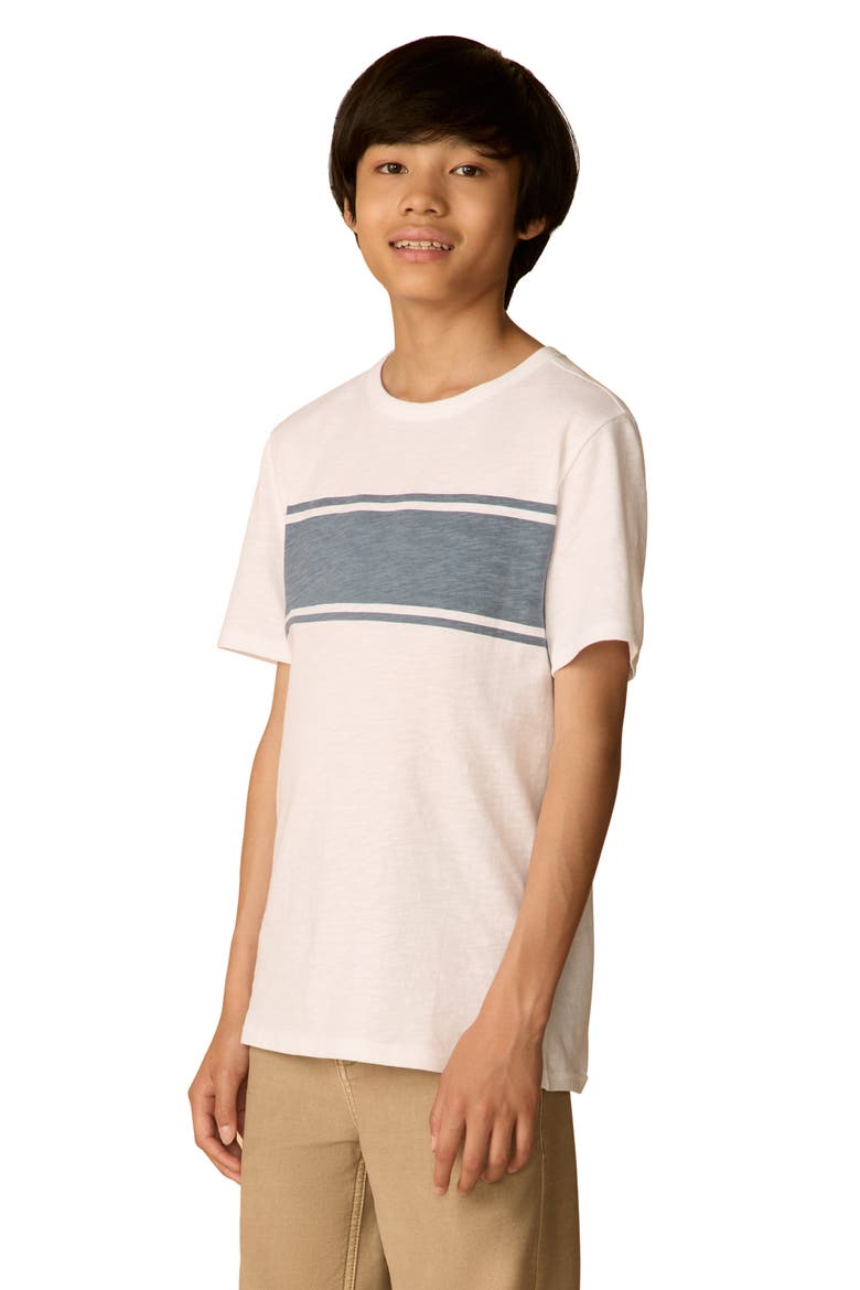 Kids' Surf Stripe Sunwashed T-shirt, Alternate, color, WHITE SURF STRIPE