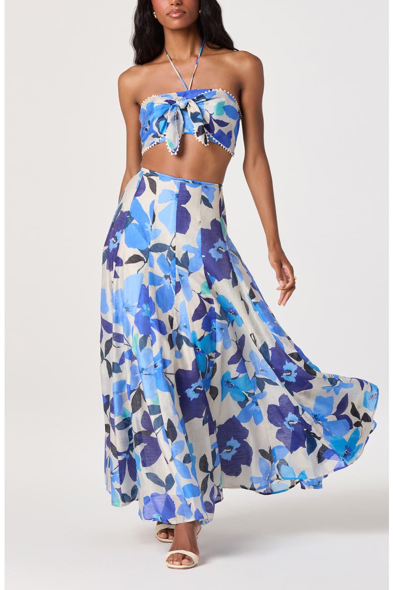 Kaley Floral Paneled Maxi Skirt, Alternate, color, BLUE FLORAL