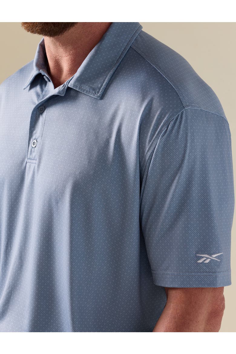Big & Tall Geometric Dot Performance Polo Shirt, Alternate, color, HAZY BLUE