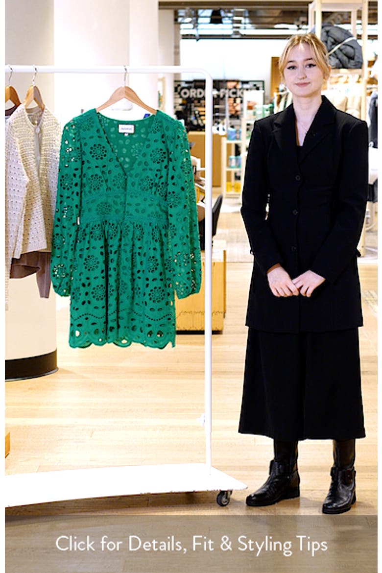 Long Sleeve Eyelet Minidress video