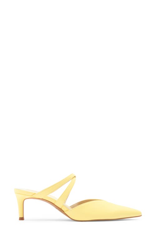 Dolce Vita Kenton Mule In Lemon Stella