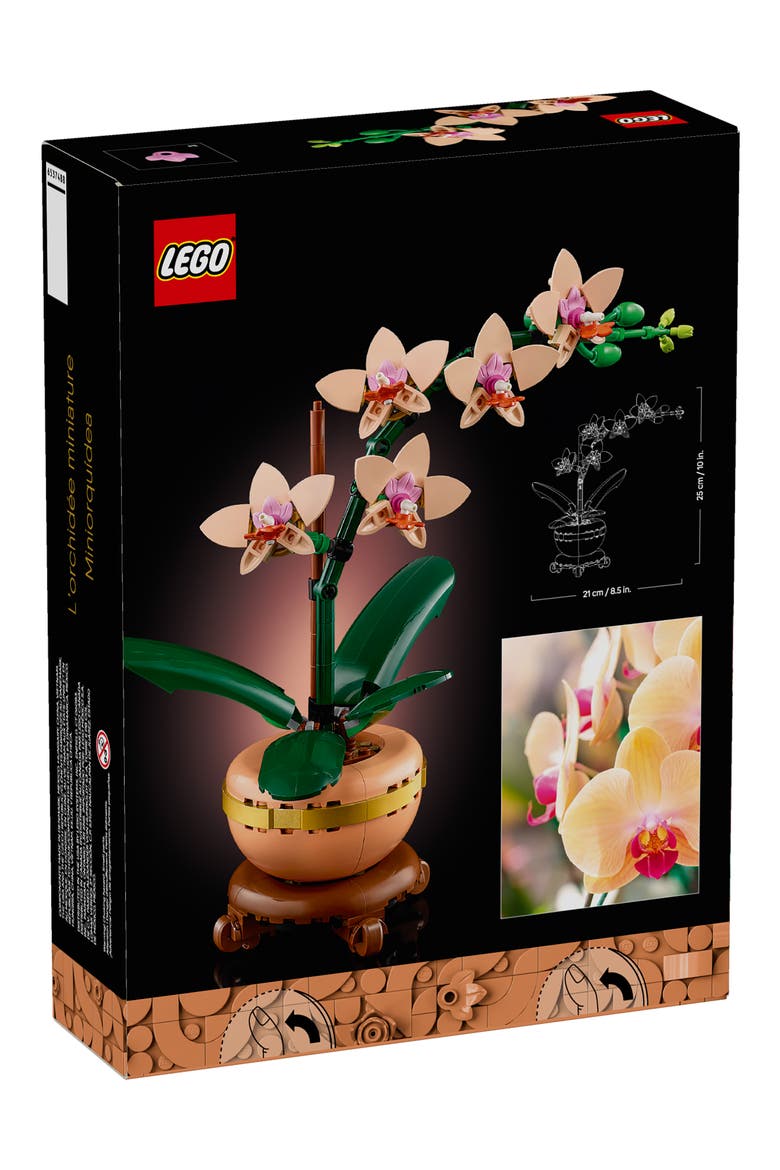 18+ Botanicals™ Mini Orchid - 10343, Alternate, color, MULTI