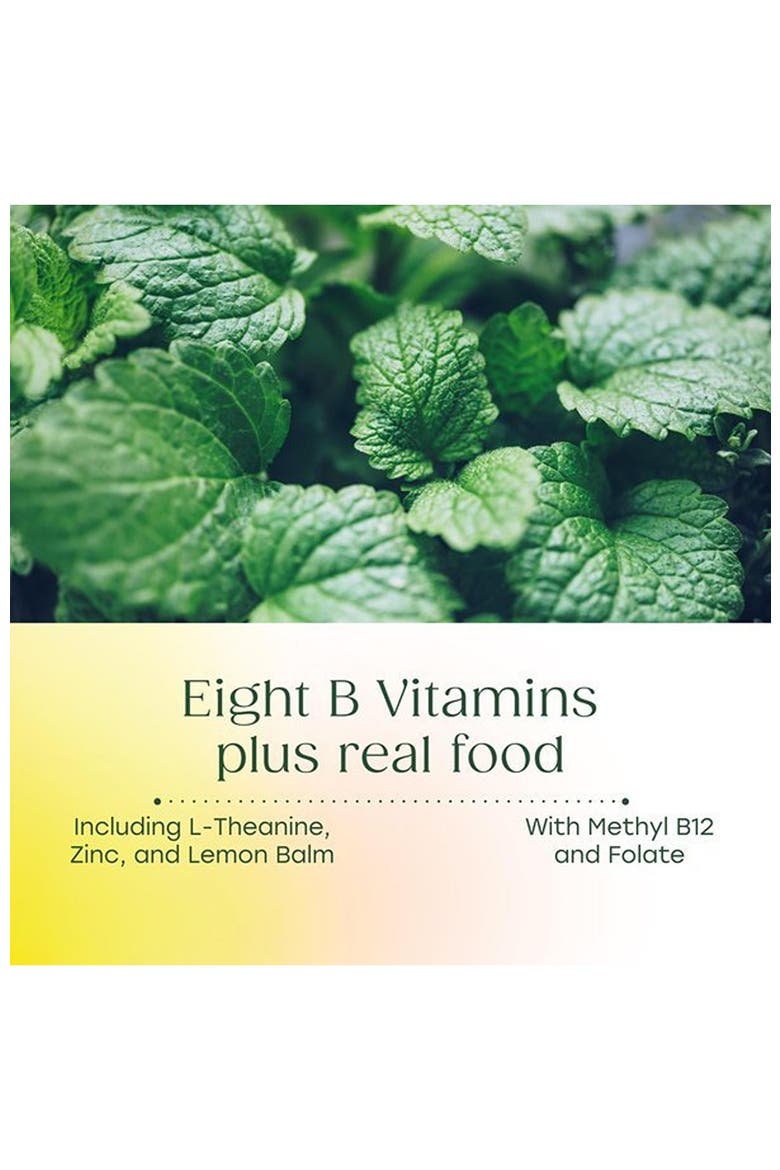 Kids Vitamin B Complex with Zinc, Lemon Balm & L Theanine, Vegetarian, 90 Mini Tablets, Alternate, color, None